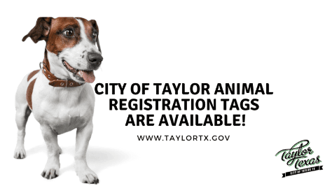 Screenshot 2023-01-10 140026